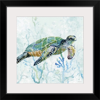 Sea Turtle Swim I