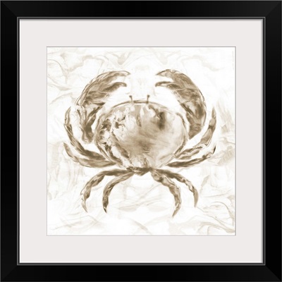 Soft Marble Coast Crab
