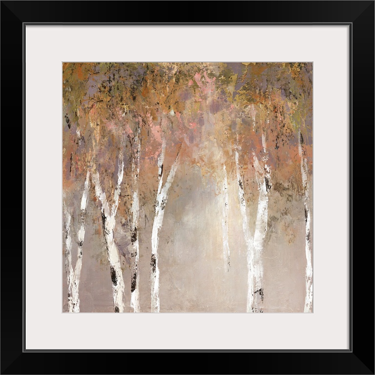 Sunlit Birch II