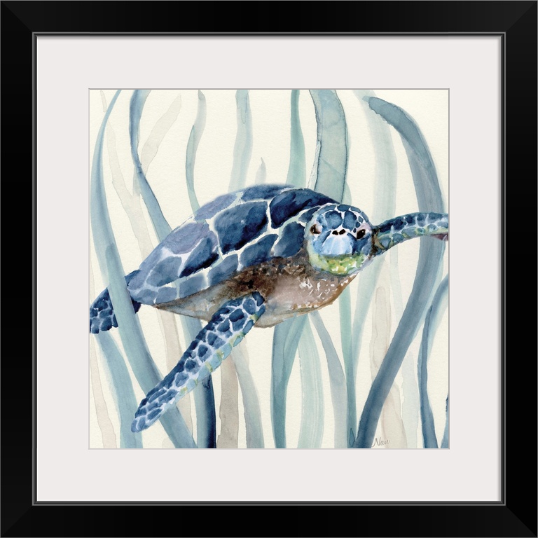 Square watercolor painting of a sea turtle  swimming through seagrass in shades of blue.