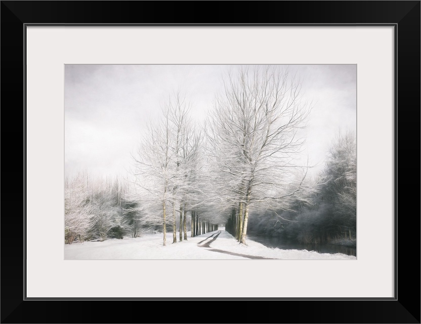 This snowy scene exhibits painted trees lining a path with weaving branches against a cloudy gray sky.