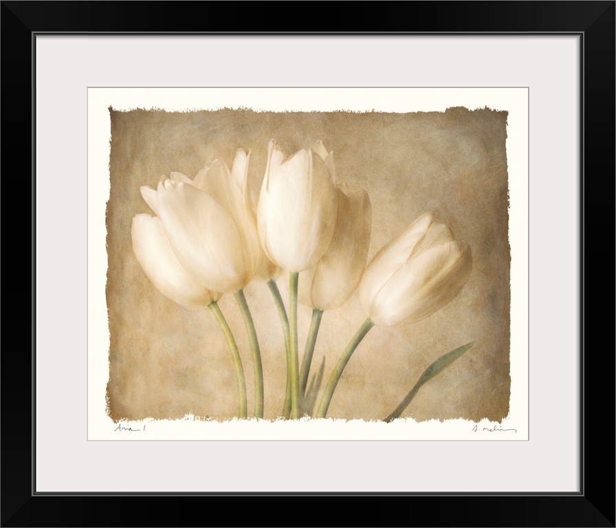 Decorative painting of a small bouquet of tulips in subtle, neutral tones, on a white background.