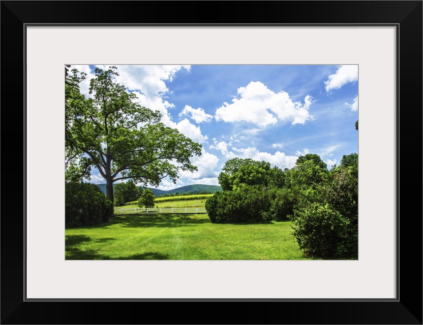 Landscape photograph of the hilly countryside in Barboursville, VA.