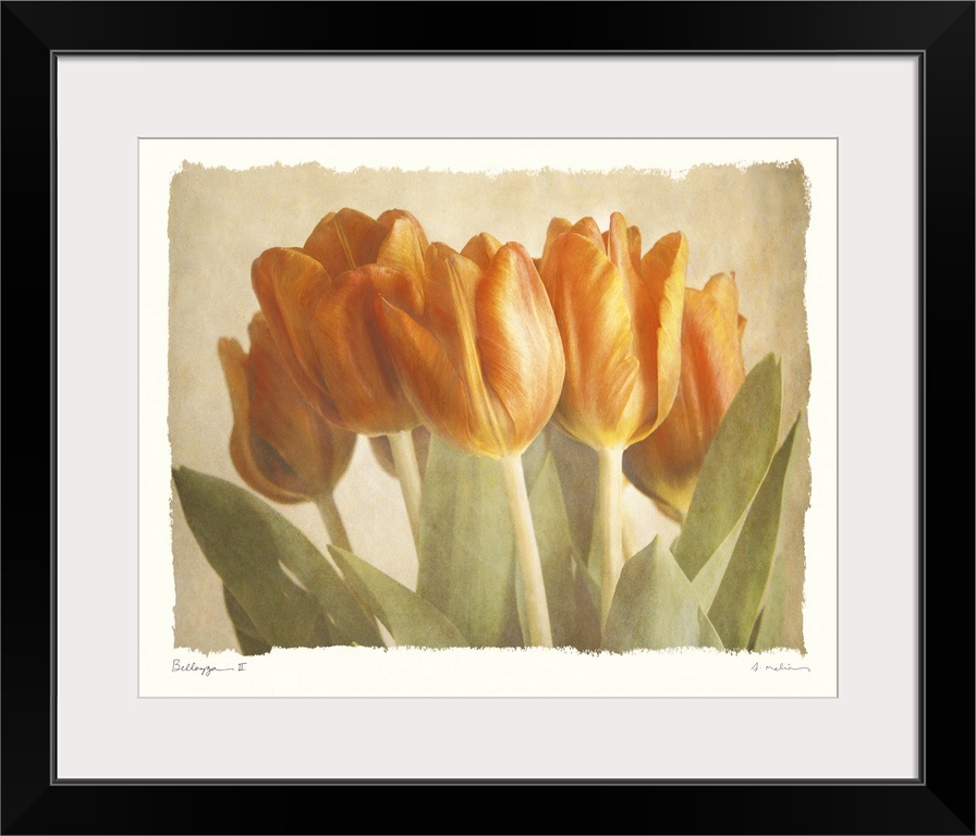 Soft painting of tulips in the middle of a neutral canvas.