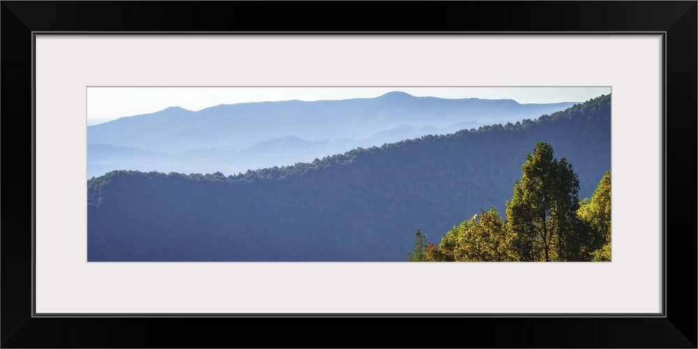 Panoramic view of the blue hills of the Smokey Mountains in North Carolina.