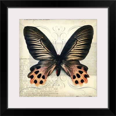 Butterflies Script IV