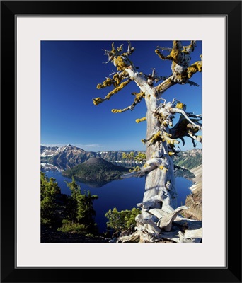 Crater Lake I