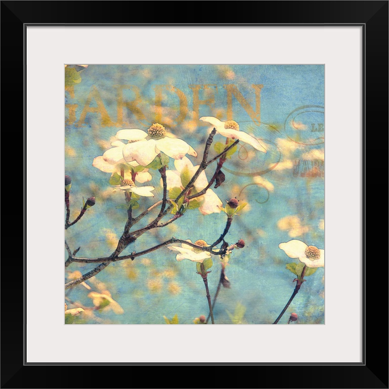 A square wall art for the home or office this photograph is collaged with text and painted textures overlayed on top.