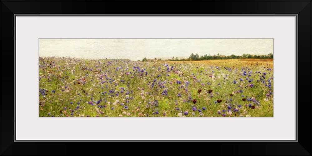 Giant, panoramic painting of a vast field of wildflowers and tall grasses, beneath a clear sky.