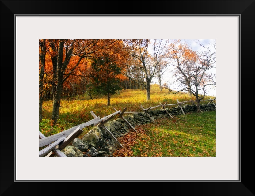 Photograph of low fence line used as a fire wall in fall forest.