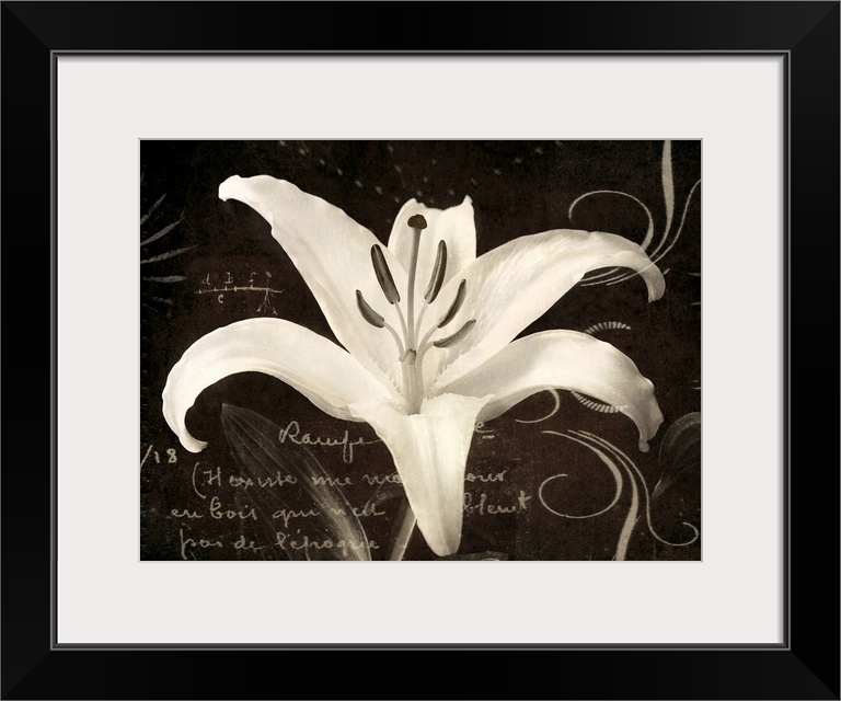 Huge monochromatic floral art incorporates a close-up of a flower surrounded by text and a variety of curved lines.