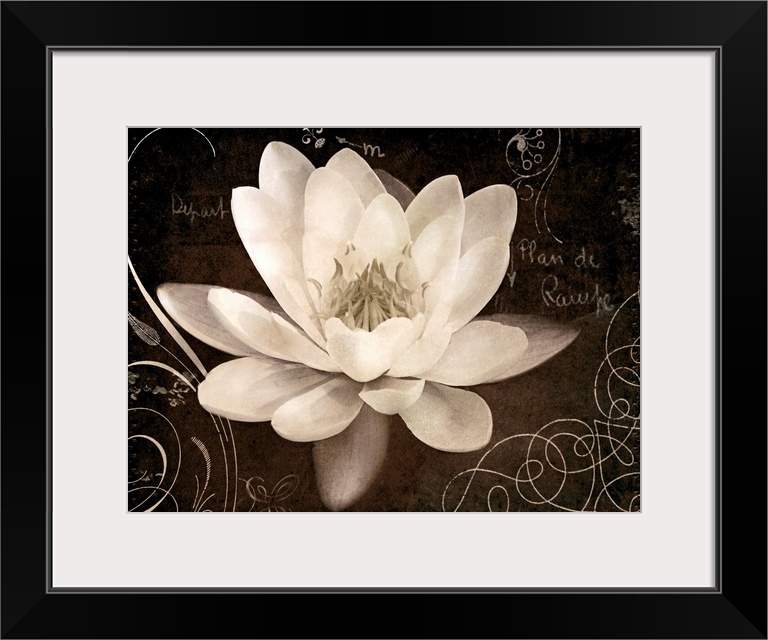 Giant canvas art includes a close-up of a flower surrounded by a number of curved accent lines and text.