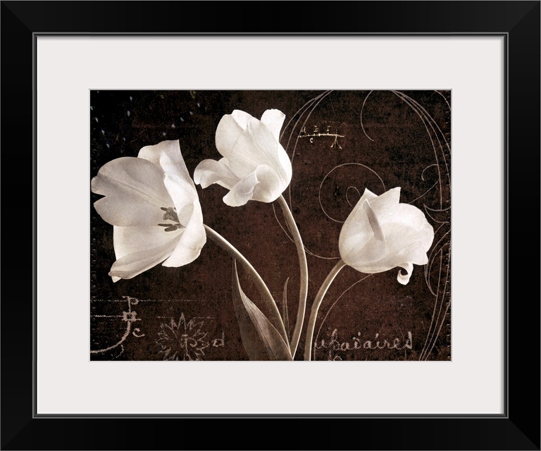 Big canvas of three flowers against a vintage background with decorative markings and writings.