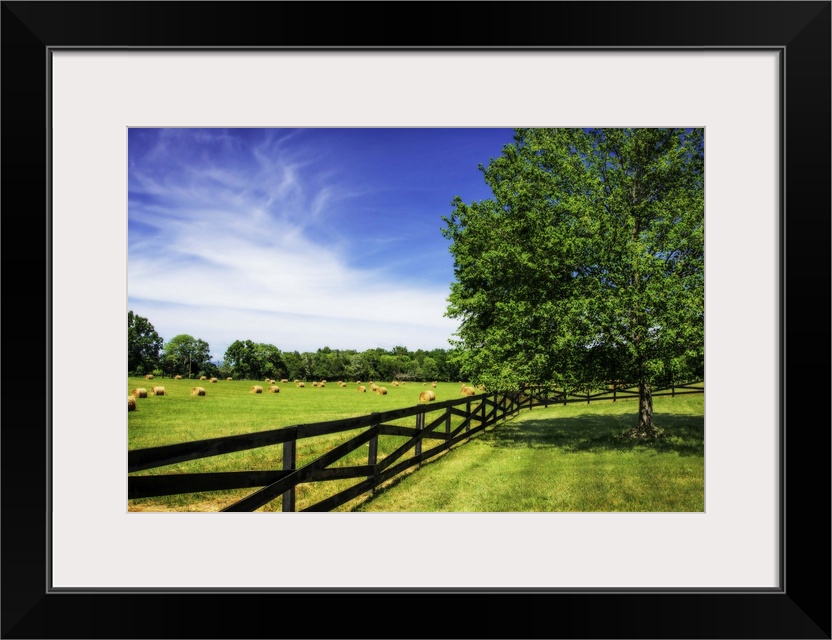 A fence along the edge of a farm on a sunny day with a bright blue sky.