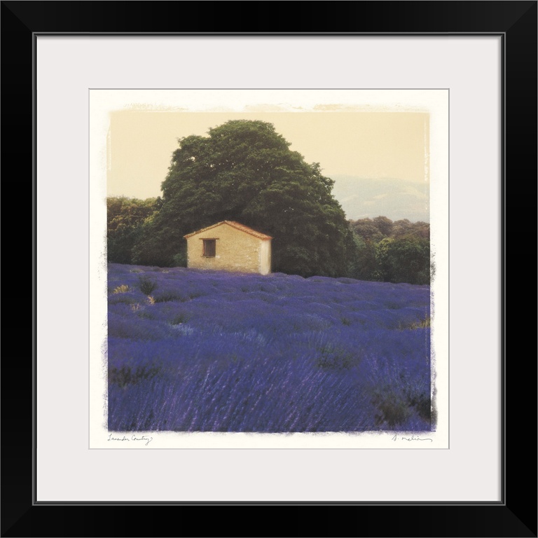 Lavender Country