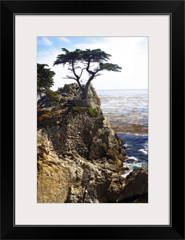 Portrait photograph on a large wall hanging, of a single cypress tree at the top of a rocky cliff that overlooks blue wate...