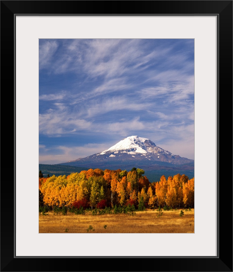 Mount Adams seen from a forest in fall colors with clouds overhead.