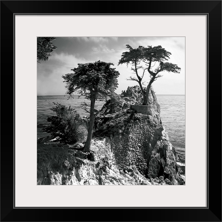 Lone Cypress 3