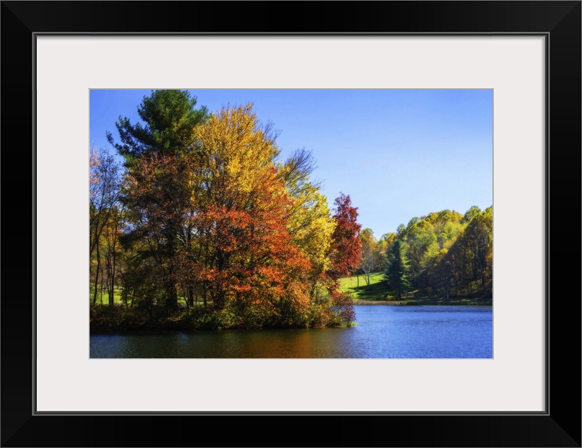 Trees turning fall colors at the edge of a lake.