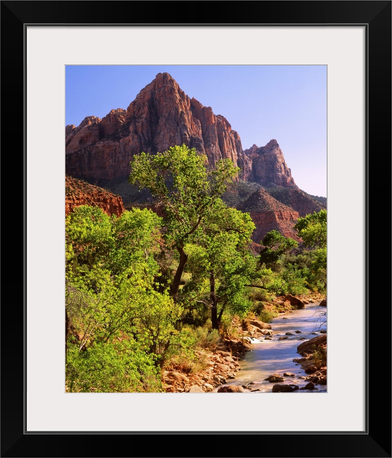 Bright green trees near the red mountains of Zion National Park.