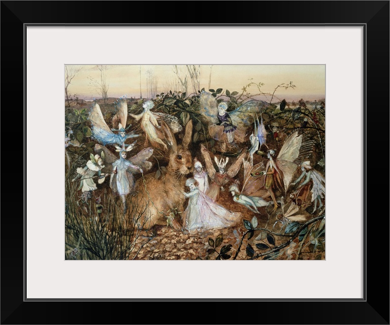 A Rabbit Among The Fairies