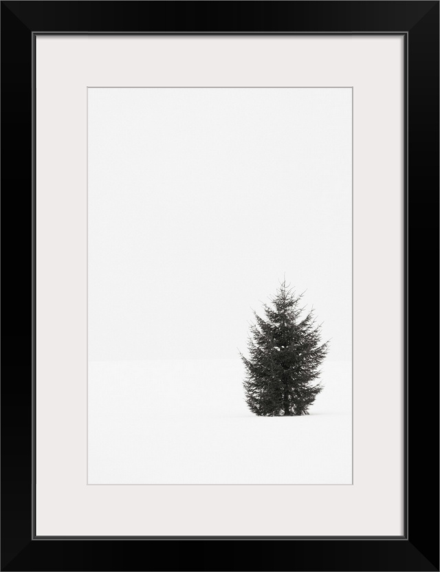 Black and white photograph of a single evergreen tree in a snowy field on an overcast day.