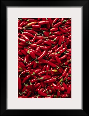 Abundance Of Red Chilies