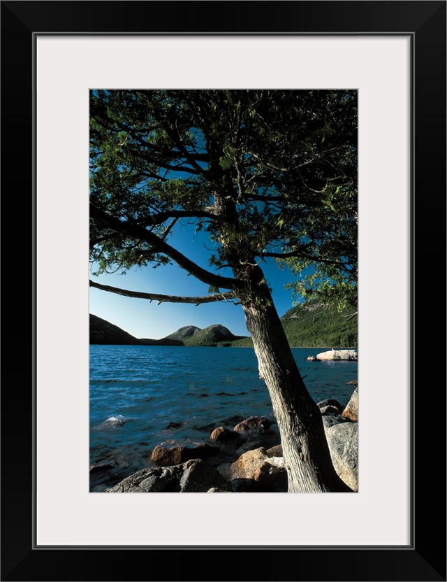 Acadia National Park , London Pond , Maine