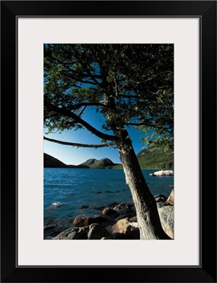 Acadia National Park, London Pond, Maine