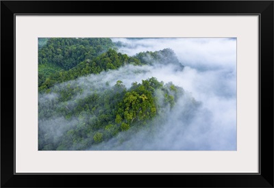 Aerial View Of Morning Mist At Tropical Rainforest Mountain