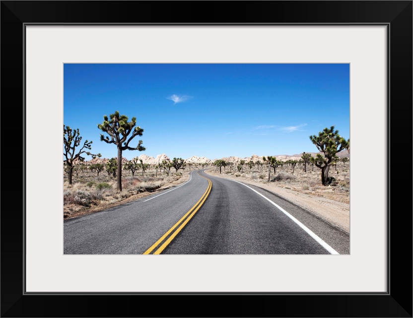 good looking street in the middle of the dessert leading to hte horizon