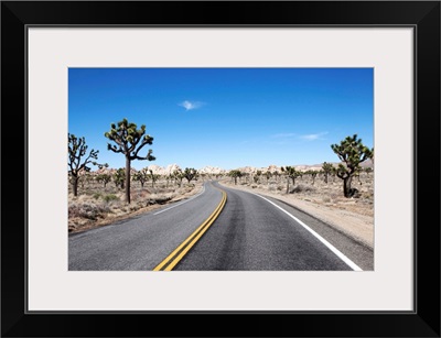 An empty street in the middle of the dessert, California, USA