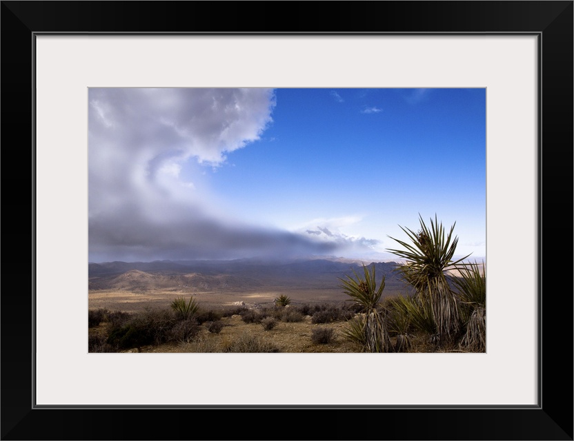 A storm is approaching over the desert in Joshua Tree National Park. From the top of Ryan Mountain, Joshua Tree National P...