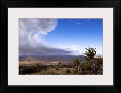 Approach storm over the desert in Joshua Tree National Park