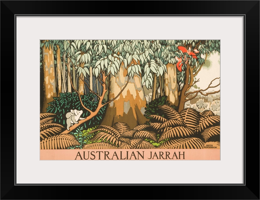 Australian travel poster. Mother and baby Koala bears climb a jarrah / eucalyptus tree. ca 1930s illustrated by Keith Hend...