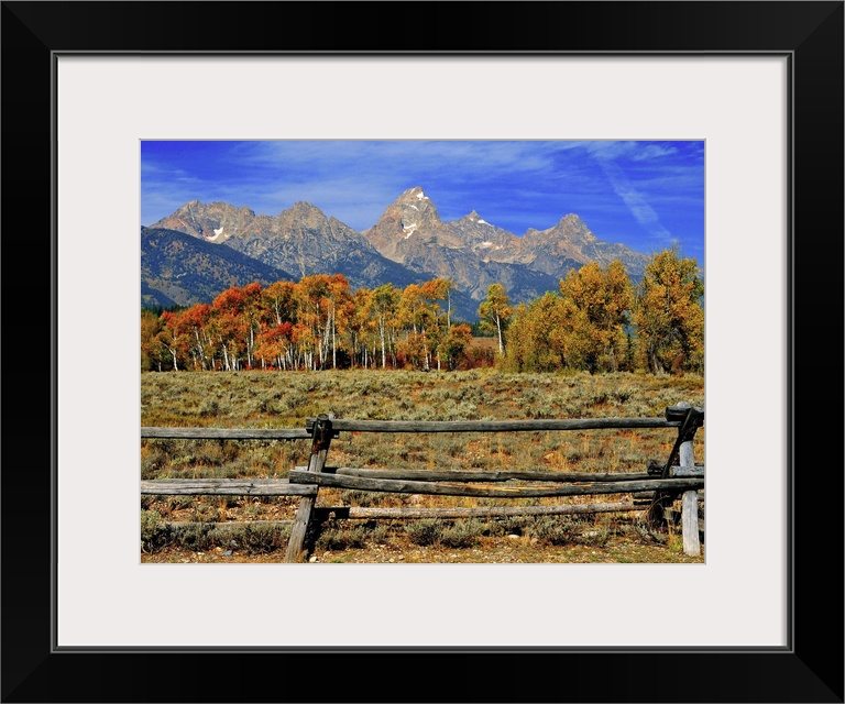 Autumn landscape colors in Grand Teton National Park in Jackson Hole, Wyoming