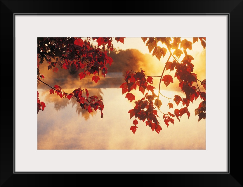 Landscape wall art of autumn leaves hanging off a tree while mist rises off a pond in the morning light.