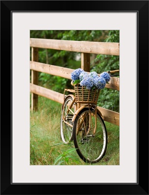 Bike with basket of flowers