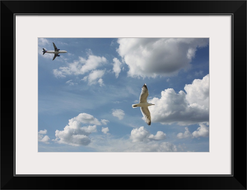 Bird and air plane fly together against clouds in sky, New York.