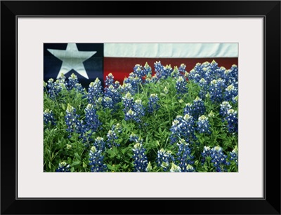 Bluebonnets, Texas state flag in background, USA