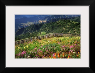 Buckhorn Viewpoint and Imnaha River Valley, Hells Canyon, Oregon