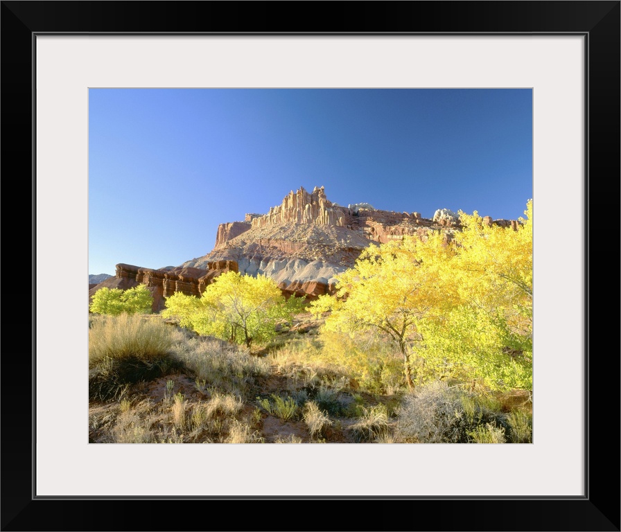 'Autumn, Capitol Reef National Park, Southern Utah'