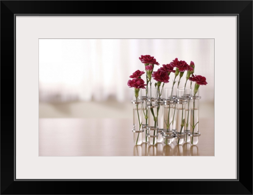 Carnations flowers kept in glasses on table.