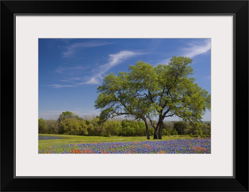 Near GayHill, Texas just to the East of Austin, USA