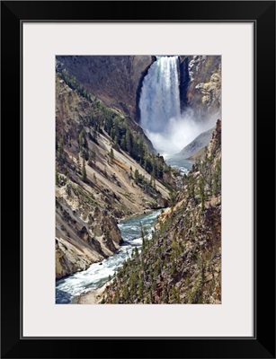 Classic view of the lower falls of the Yellowstone river.