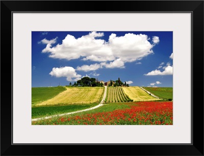 Clouds and poppies near vineyard.