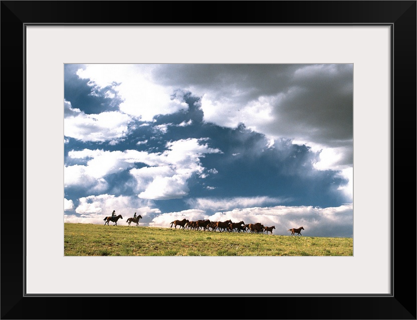 Cowboys herding horses near Fairplay in Colorado