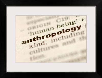Definition of anthropology