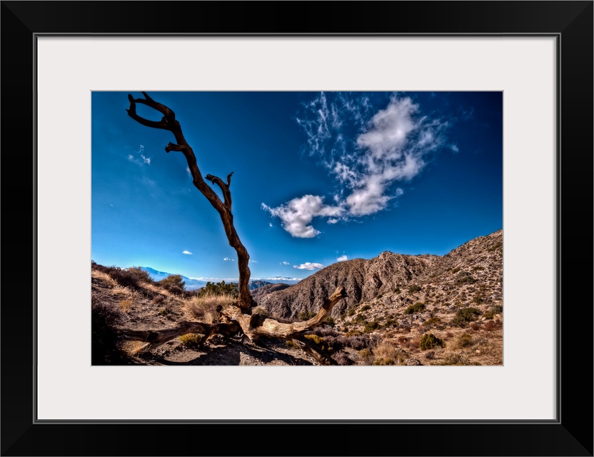 View of deserted landscape against lonely tree with no leaves.