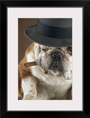 Dog with cigar and hat
